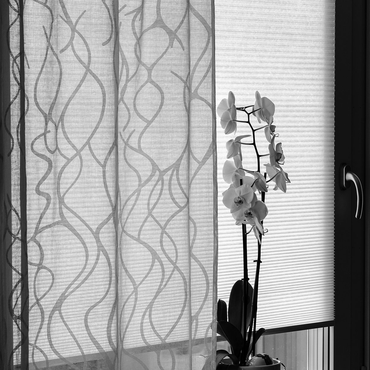 Honeycomb — Koşuyolu Salon